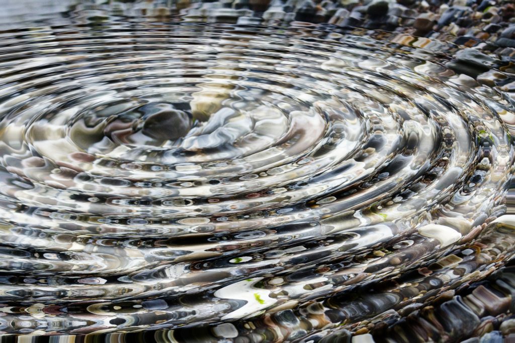 Pebble dropping in pond causing ripples