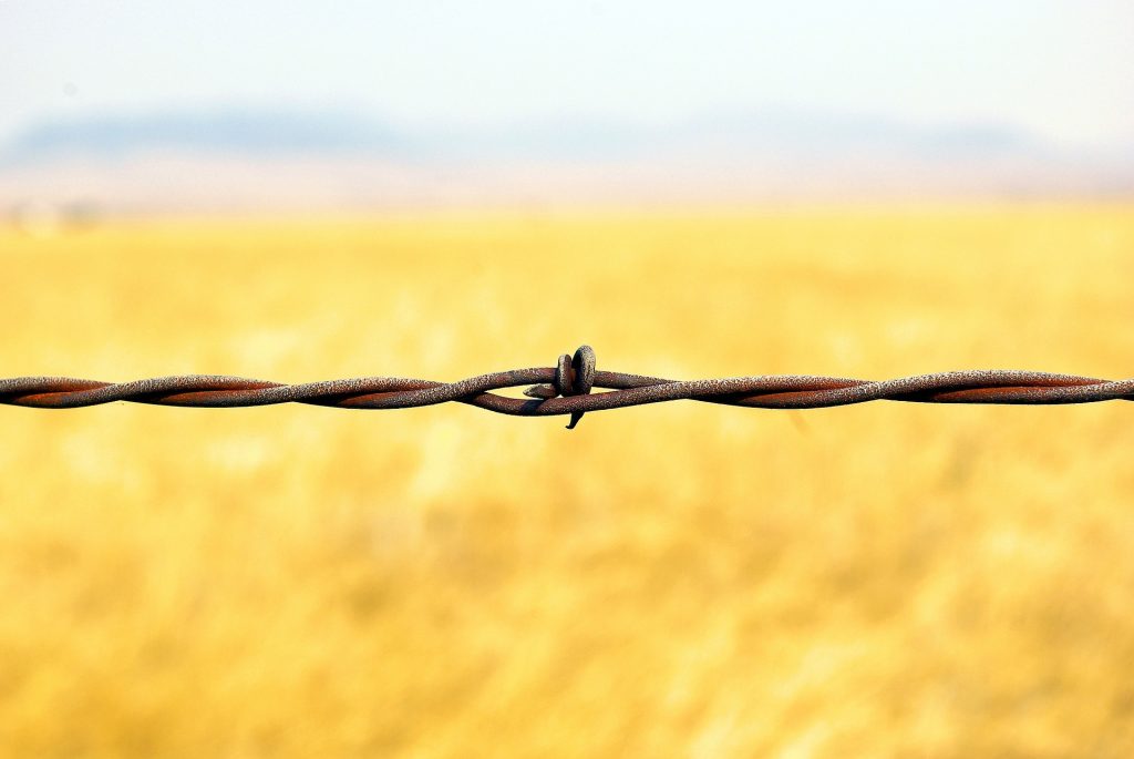 Montana Barbed Wire