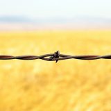 Montana Barbed Wire