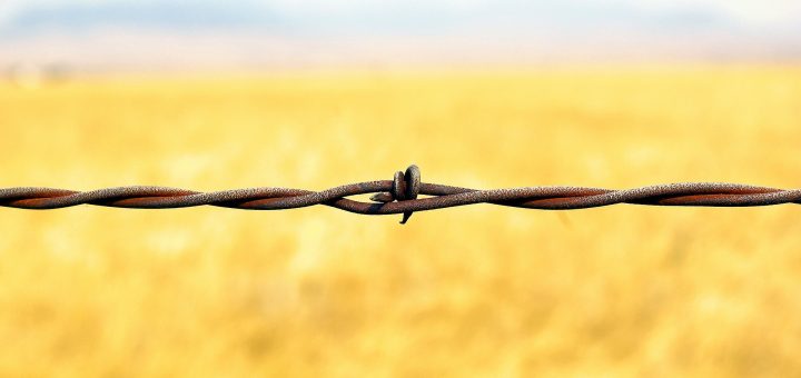 Montana Barbed Wire